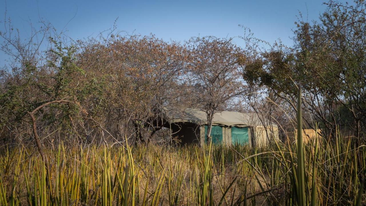 Boteti Tented Safari Lodge Maun Zewnętrze zdjęcie