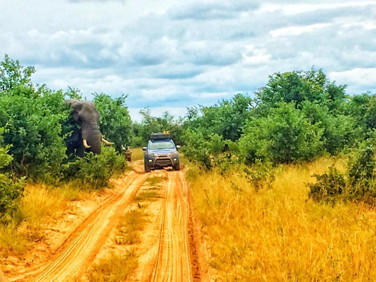 Boteti Tented Safari Lodge Maun Zewnętrze zdjęcie